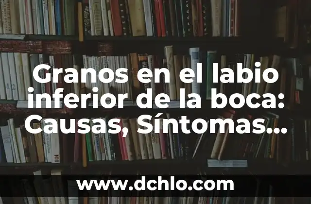¿Quién tiene más títulos, Boca o River? Un análisis detallado de la historia 4 Granos en el labio inferior de la boca: Causas, Síntomas y Tratamientos