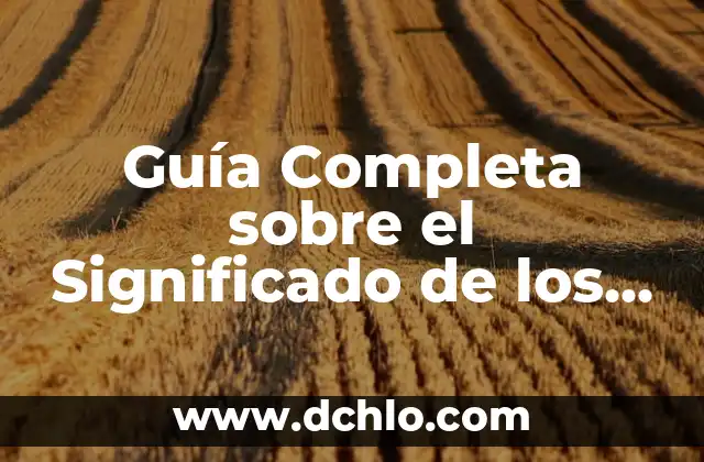 Valvula de Retorno de Vapores: Su Importancia en Sistemas Térmicos 6 Guía Completa sobre el Significado de los Datos de Entrada y su Importancia en los Sistemas