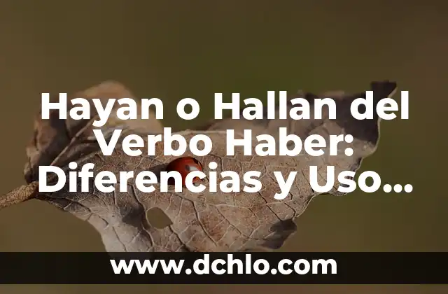 De hecho, sí: significado y uso correcto 3 Hayan o Hallan del Verbo Haber: Diferencias y Uso Correcto