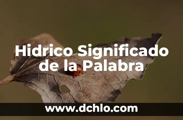 Hipoalergénica Significado de la Palabra 4 Hidrico Significado de la Palabra