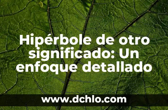 Significado en Español de Arm 8 Hipérbole de otro significado: Un enfoque detallado