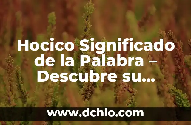 Hocico Significado de la Palabra - Descubre su Origen y Usos