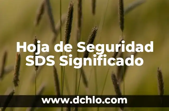 Cómo hacer que quepa todo en una hoja de Excel 3 Hoja de Seguridad SDS Significado