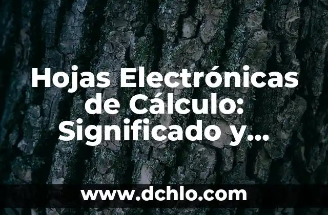 Hojas Electrónicas de Cálculo: Significado y Funcionalidades