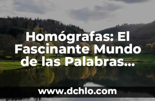 Palabras con múltiples significados en el contexto de los bienes 7 Homógrafas: El Fascinante Mundo de las Palabras con Múltiples Significados