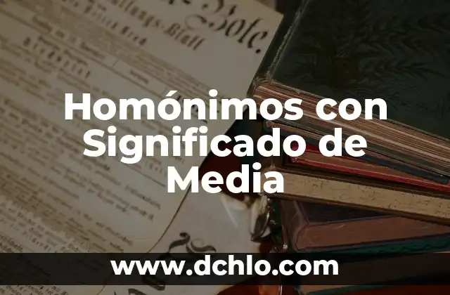 C贸mo hacer ropa para gato con una media 4 Hom贸nimos con Significado de Media