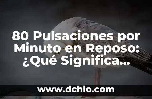 80 Pulsaciones por Minuto en Reposo: ¿Qué Significa para tu Salud?
