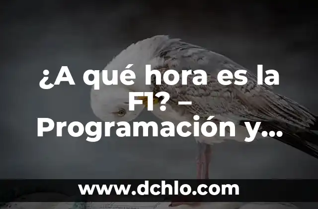 ¿A qué hora es la F1? - Programación y horarios de la Fórmula 1