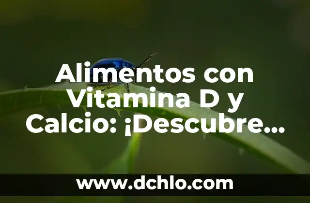 Alimentos con Vitamina D y Calcio: ¡Descubre los Mejores Opciones para una Salud óptima!
