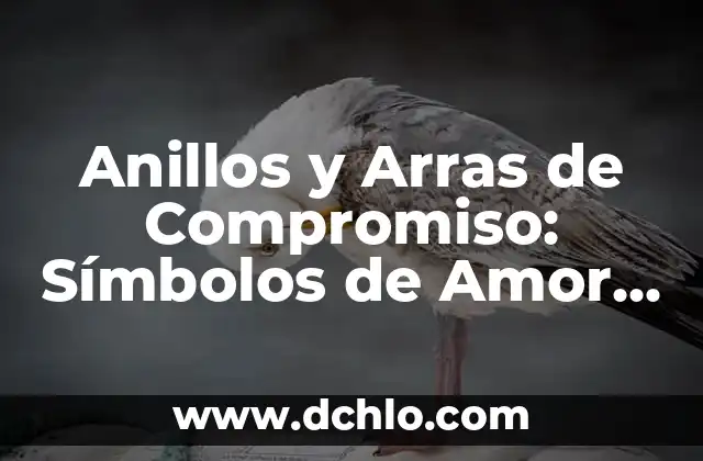 Anillos y Arras de Compromiso: Símbolos de Amor y Compromiso