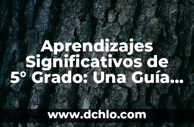 Aprendizajes Significativos de 5° Grado: Una Guía Completa