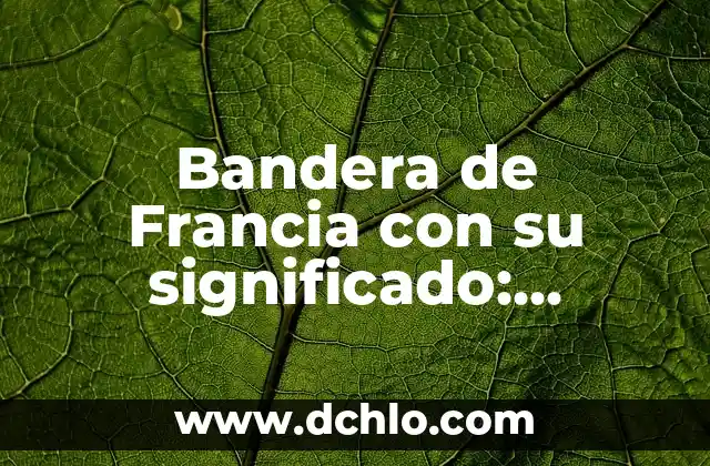 Bandera de Francia con su significado: Historia y Simbolismo