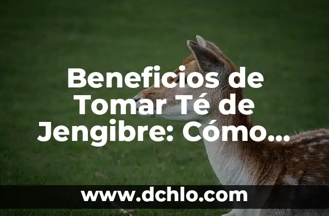 Beneficios de Tomar Té de Jengibre: Cómo Mejora tu Salud