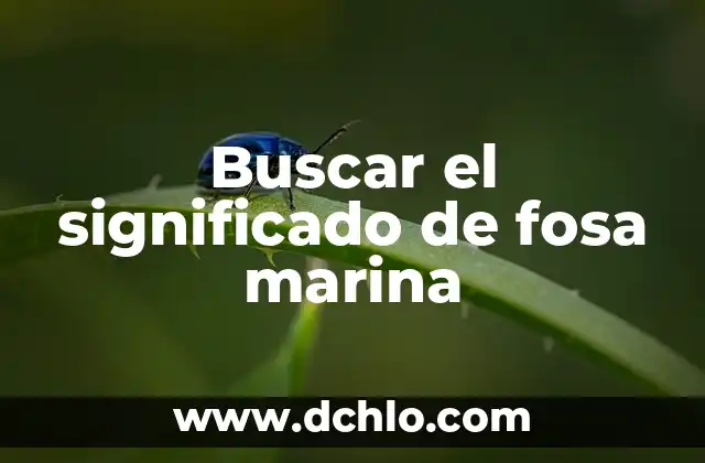 Buscar el significado de fosa marina