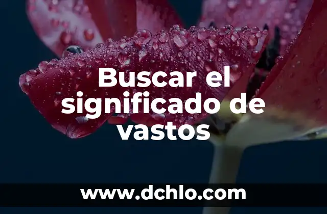 Buscar el significado de vastos