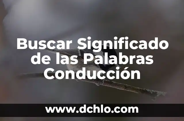 Buscar Significado de las Palabras Conducción