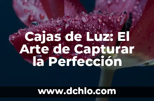 Cajas de Luz: El Arte de Capturar la Perfección