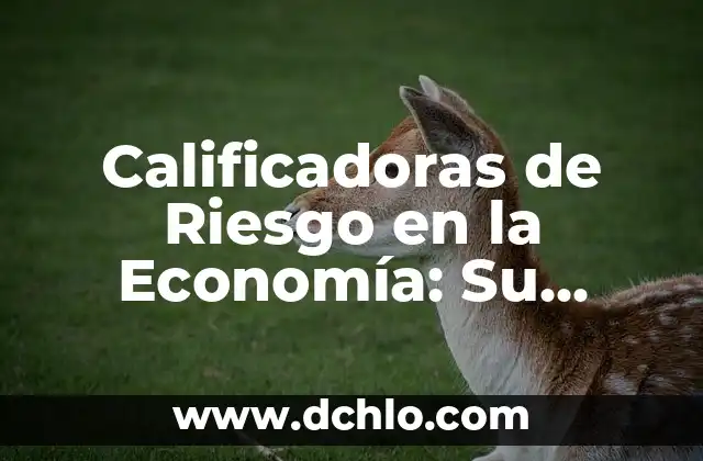 Calificadoras de Riesgo en la Economía: Su Significado y Papel Fundamental