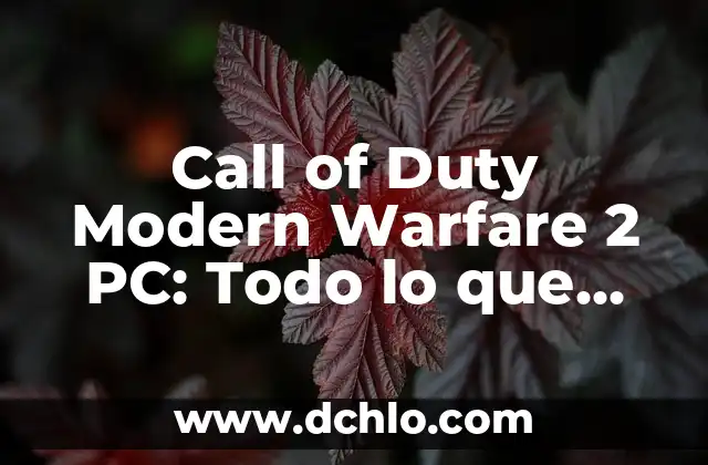 Call of Duty Modern Warfare 2 PC: Todo lo que necesitas saber