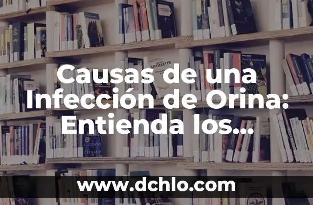 Causas de una Infección de Orina: Entienda los Riesgos y Prevención