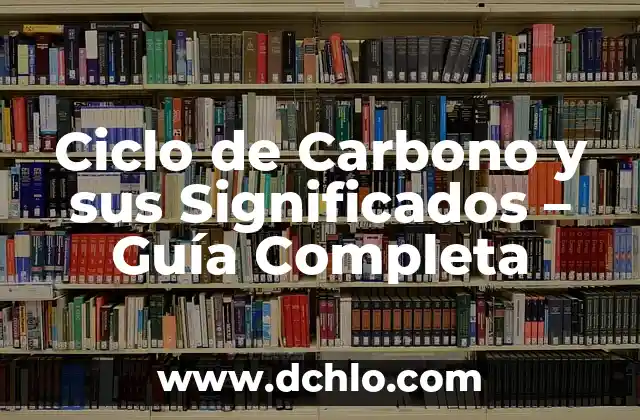Ciclo de Carbono y sus Significados - Guía Completa