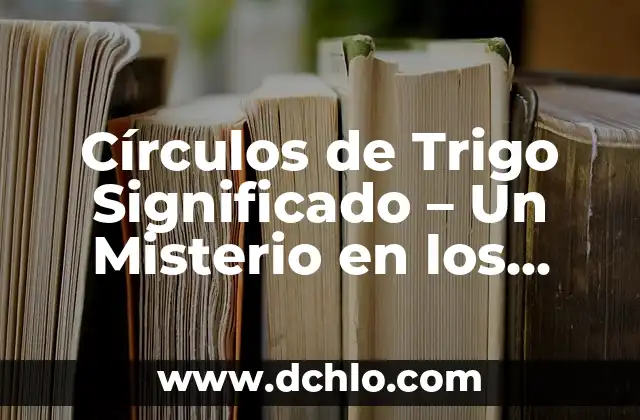Círculos de Trigo Significado - Un Misterio en los Campos