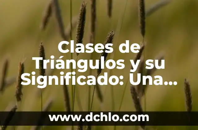 Clases de Triángulos y su Significado: Una Guía Completa