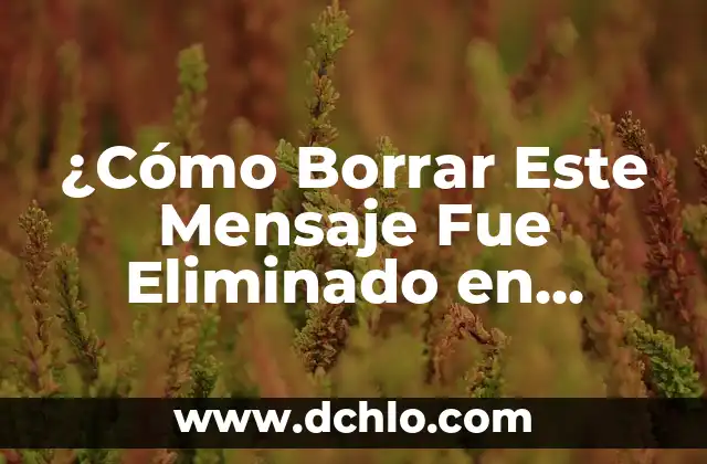 ¿Cómo Borrar Este Mensaje Fue Eliminado en WhatsApp?