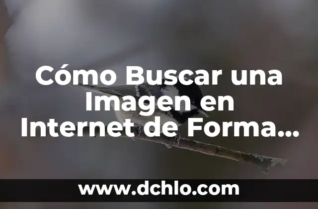 Cómo Buscar una Imagen en Internet de Forma Eficiente