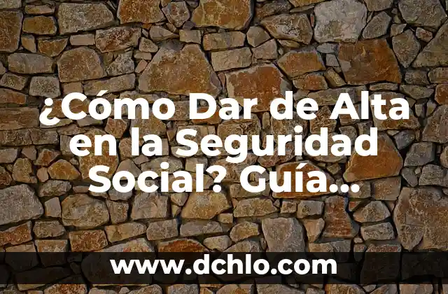 ¿Cómo Dar de Alta en la Seguridad Social? Guía Completa para Autónomos y Empleados
