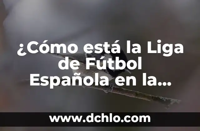 ¿Cómo está la Liga de Fútbol Española en la Actualidad?