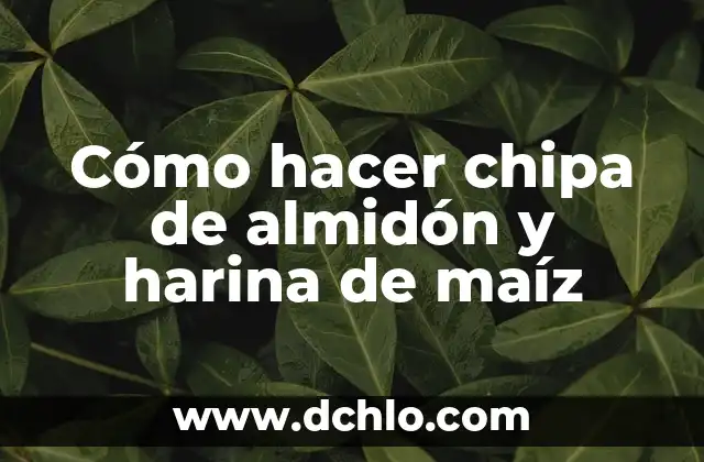 Cómo hacer chipa de almidón y harina de maíz