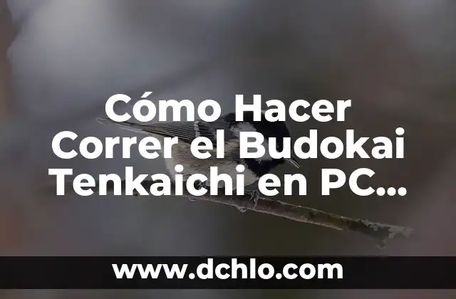 Cómo Hacer Correr el Budokai Tenkaichi en PC 2016