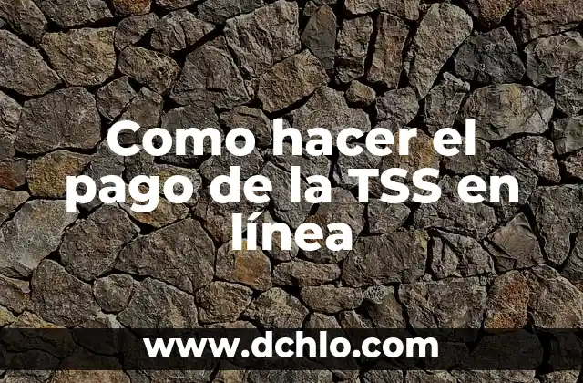 Como hacer el pago de la TSS en línea