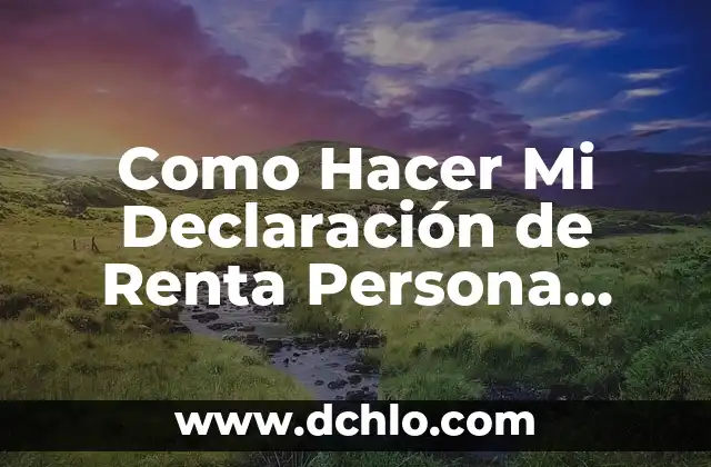 Como Hacer Mi Declaración de Renta Persona Natural