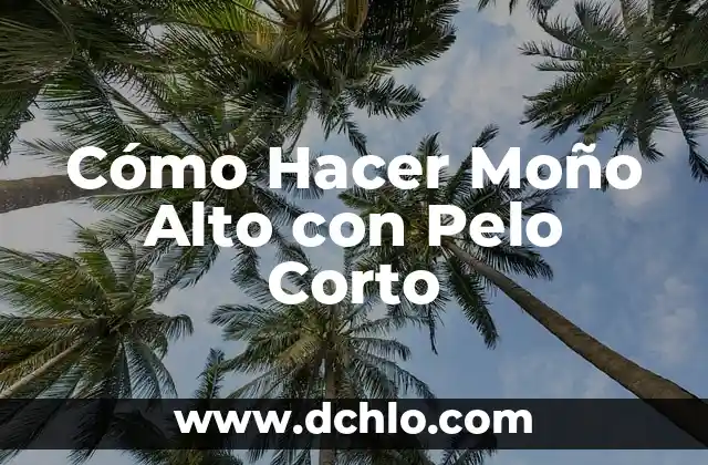 Cómo Hacer Moño Alto con Pelo Corto