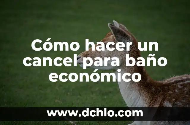 Cómo hacer un cancel para baño económico