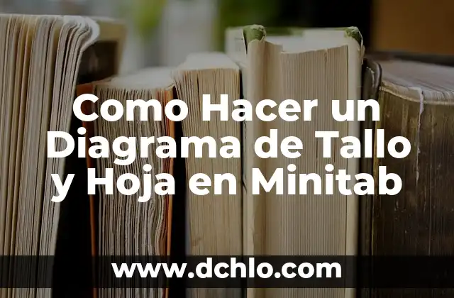 Como Hacer un Diagrama de Tallo y Hoja en Minitab