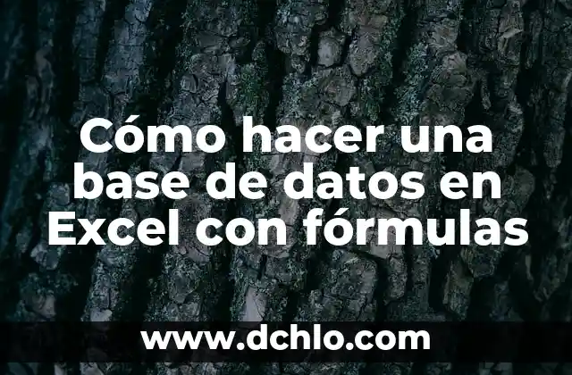 Cómo hacer una base de datos en Excel con fórmulas
