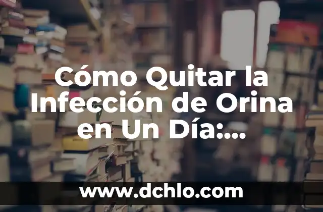 Cómo Quitar la Infección de Orina en Un Día: Soluciones Rápidas y Efectivas