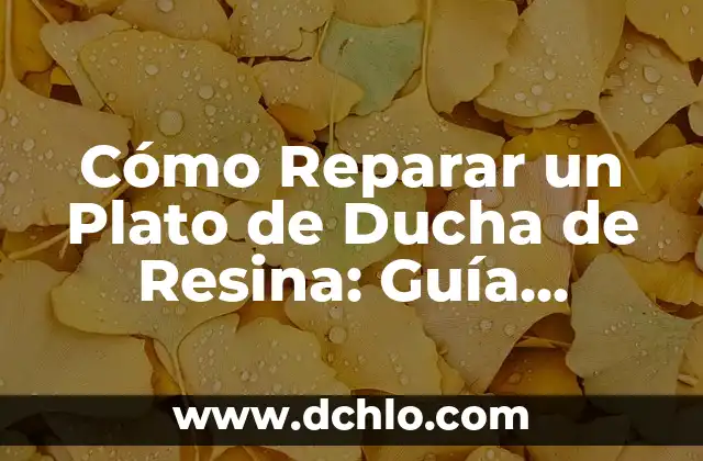 Cómo Reparar un Plato de Ducha de Resina: Guía Detallada y Paso a Paso