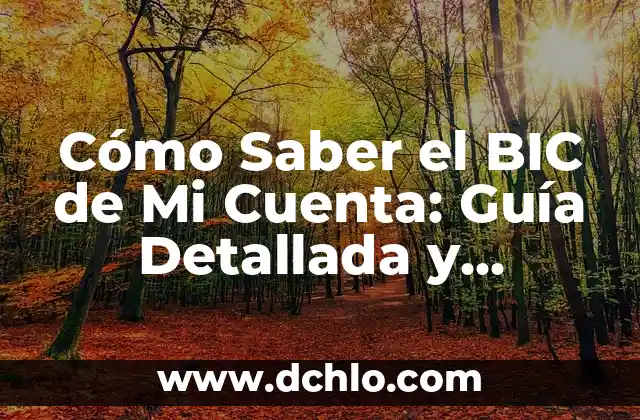 Cómo Saber el BIC de Mi Cuenta: Guía Detallada y Actualizada
