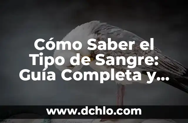 Cómo Saber el Tipo de Sangre: Guía Completa y Detallada