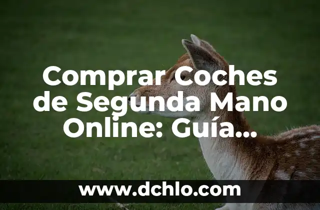 Comprar Coches de Segunda Mano Online: Guía Definitiva