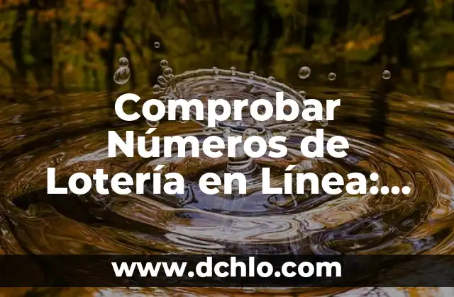 Comprobar Números de Lotería en Línea: Guía Completa