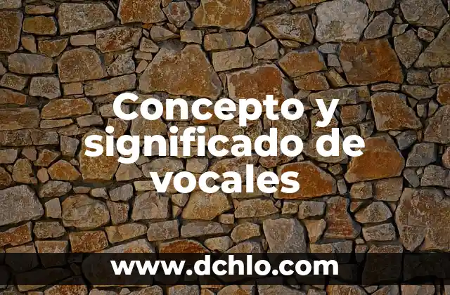 Concepto y significado de vocales