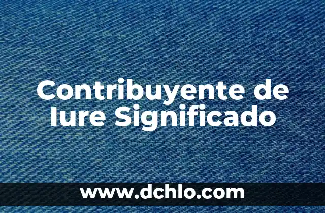 Contribuyente de Iure Significado
