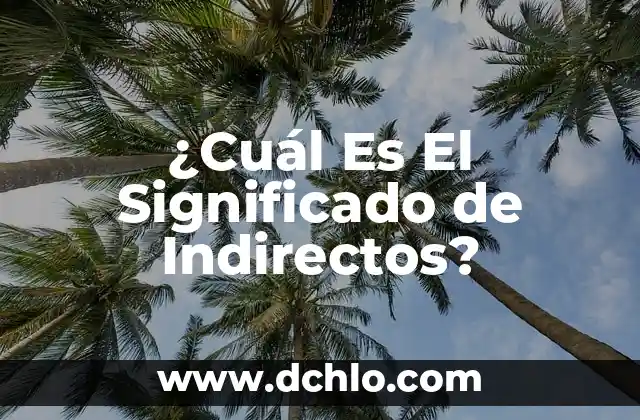 ¿Cuál Es El Significado de Indirectos?