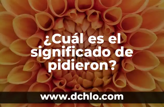 ¿Cuál es el significado de pidieron?