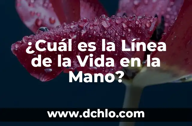 ¿Cuál es la Línea de la Vida en la Mano?